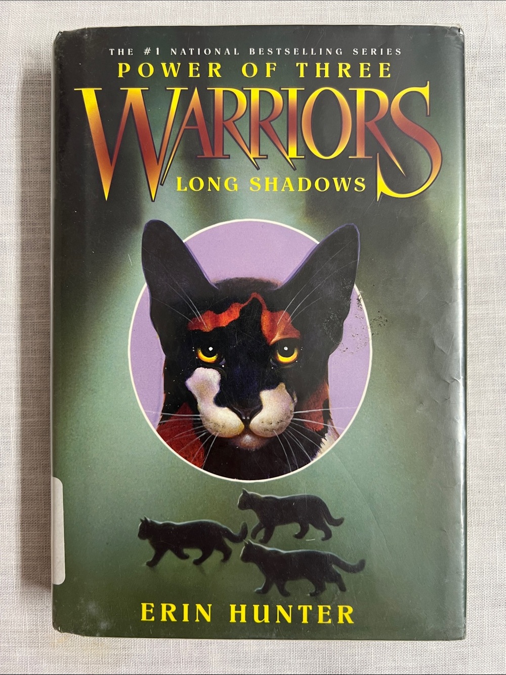🌞 Power of Three Warriors Long Shadows by Erin Hunter Hardcover Cat Artwork